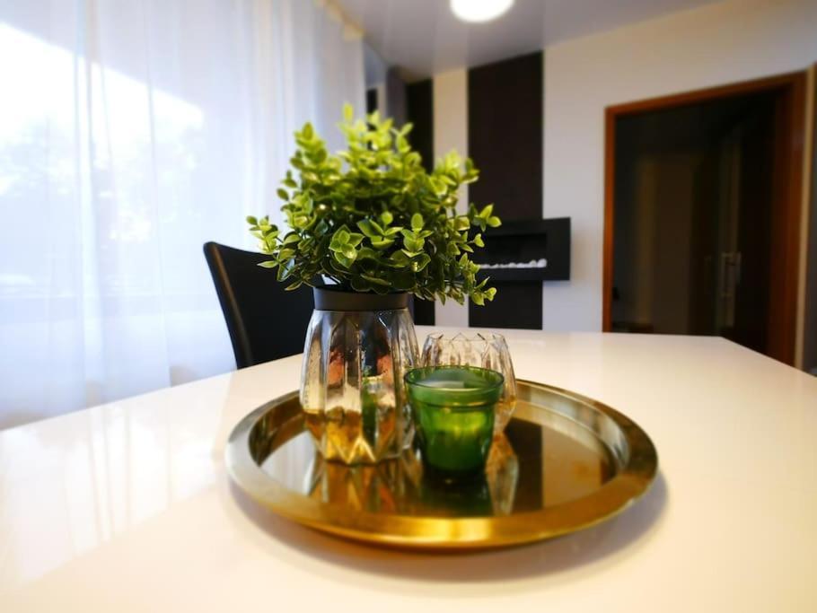 61 M2 Erdgeschosswohnung Mit Eigenem Parkplatz Vorm Haus 오스나브루크 외부 사진